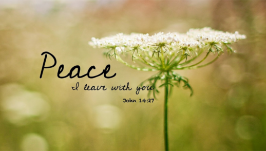 Peace - The Shalom of God (1st Advent) - SU215