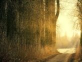 Reflection Questions - The Path of Growing Light: A Pre-Advent Self-Inventory (Selected Scriptures)