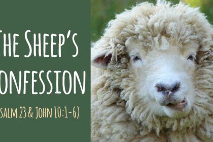 Reflection Questions - Introduction to the 'Good Shepherd' Sermons: The Sheep's Confession (John 10:1-6, Psalm 23)