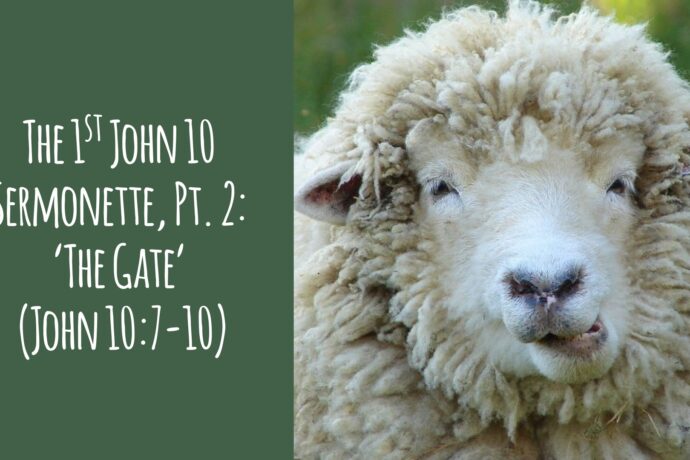 The 1st John 10 Sermonette, Part 2 - 'THE Gate' (John 10.7-10)