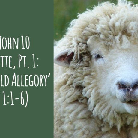 The 1st John 10 Sermonette, Part 1 - The Sheepfold Allegory (John 1.1-6)