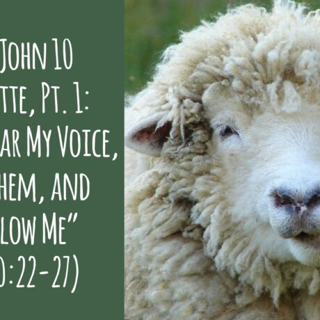 The 3rd John 10 Sermonette, Part 1: ‘'My Sheep Hear My Voice & Follow' (John 10.22-27)