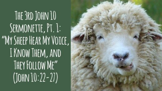 The 3rd John 10 Sermonette, Part 1: ‘'My Sheep Hear My Voice & Follow' (John 10.22-27)