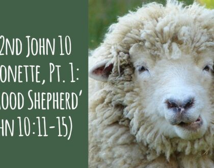 Thoughts on the Donald Trump Assassination Attempt + The 2nd John 10 Sermonette, Part 1 – ‘The Good Shepherd’ (John 10.11-15) (24.07.14)