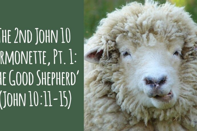 Thoughts on the Donald Trump Assassination Attempt + The 2nd John 10 Sermonette, Part 1 – ‘The Good Shepherd’ (John 10.11-15) (24.07.14)
