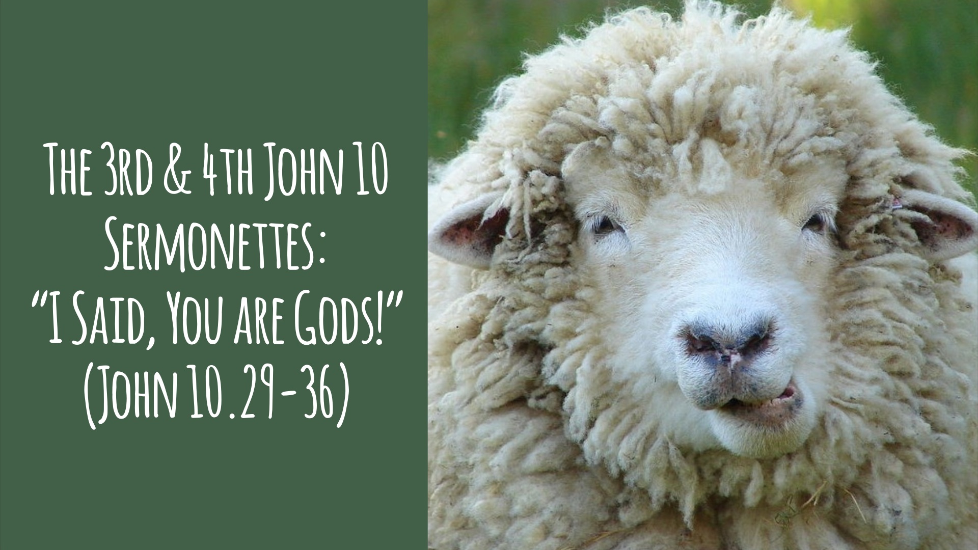 The 3rd & 4th John 10 Sermonettes - “I Said, ‘You are Gods’” (John 10.29-36)