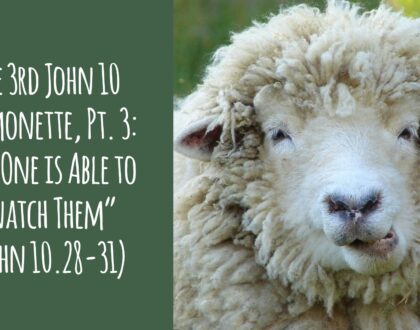 The 3rd John 10 Sermonette, Part 3: “No One is Able to Snatch Them” (John 10.28-31)