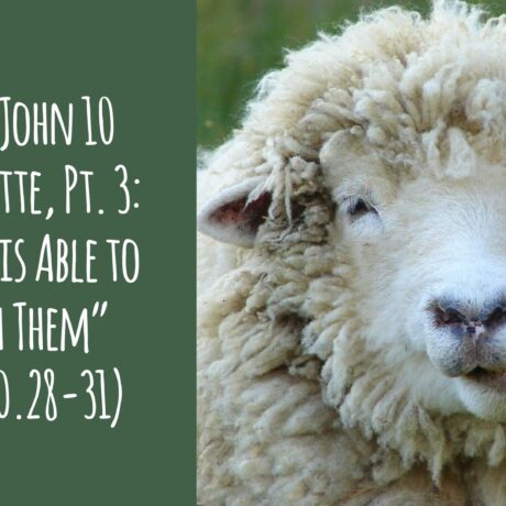 The 3rd John 10 Sermonette, Part 3: “No One is Able to Snatch Them” (John 10.28-31)