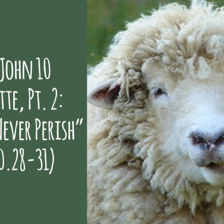 The 3rd John 10 Sermonette, Part 2: “They Will Never Perish” (John 10.28-31)