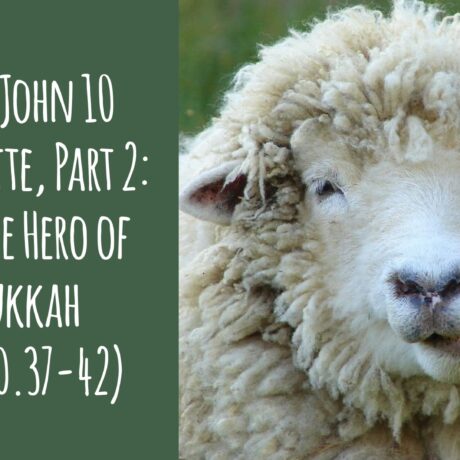 The 4th John 10 Sermonette, Part 2: Jesus, the Hero of Hannukah (John 10.37-42)