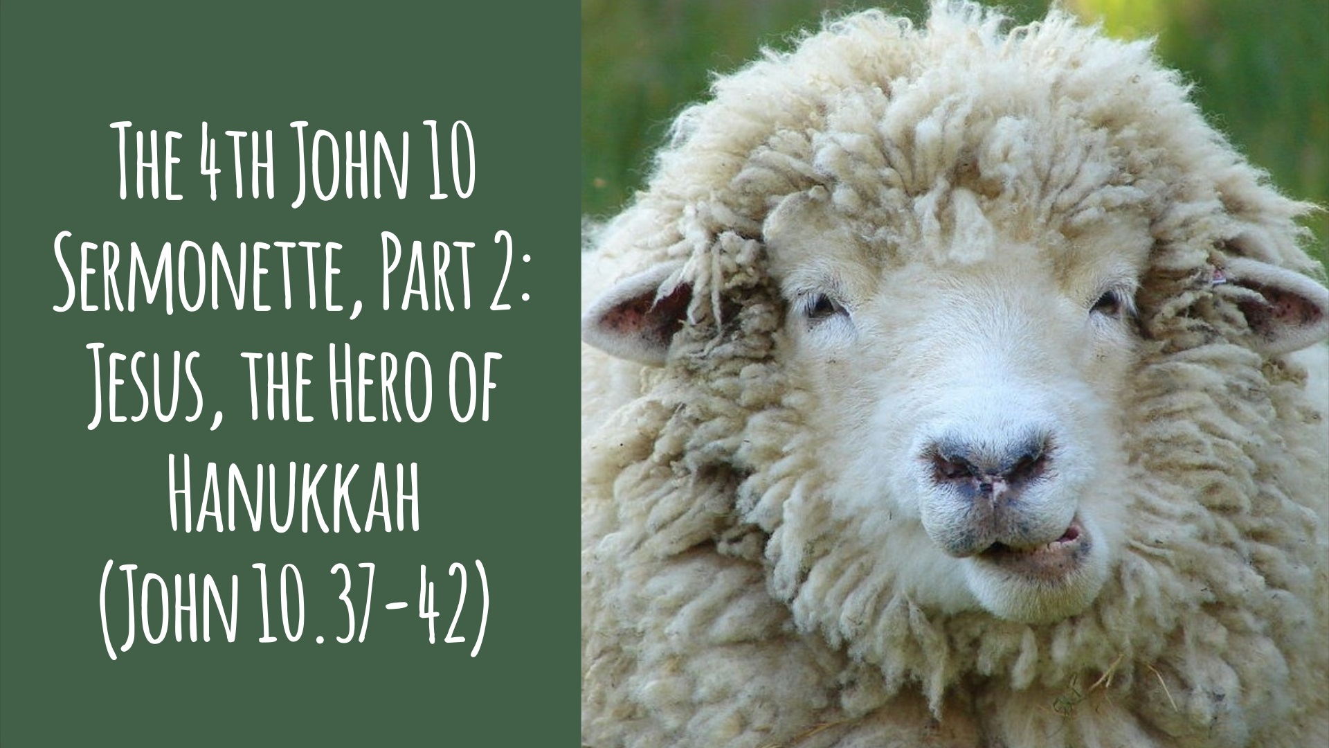 The 4th John 10 Sermonette, Part 2: Jesus, the Hero of Hannukah (John 10.37-42)