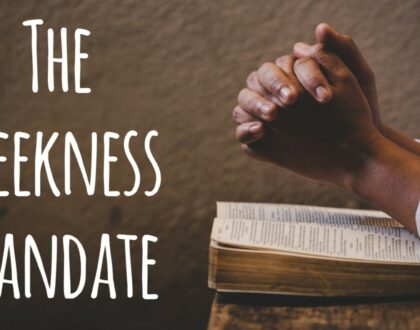 The Meekness Mandate (Anticipating John 11, Part 3)