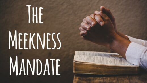 The Meekness Mandate (Anticipating John 11, Part 3)