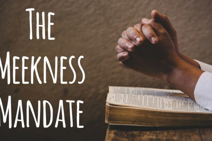 The Meekness Mandate (Anticipating John 11, Part 3)